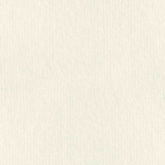 Ivory.jpg