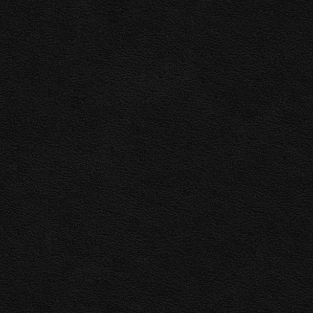 Leather-1.png