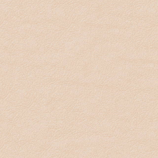 Leather-2.png