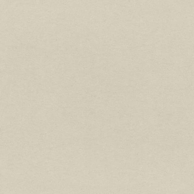 Paperboard.jpg