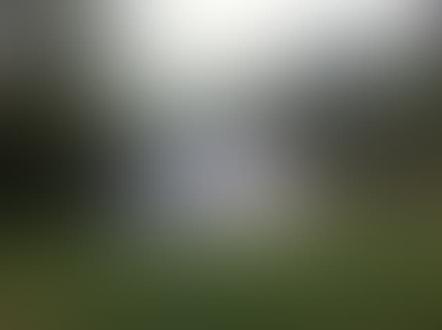 Pepsized-Blur-17.jpg