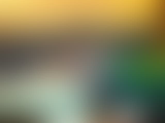 Pepsized-Blur-27.jpg