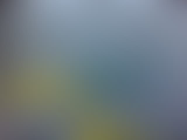 Pepsized-Blur-31.jpg