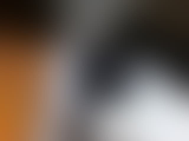 Pepsized-Blur-58.jpg