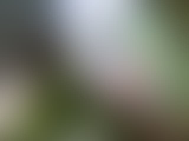 Pepsized-Blur-59.jpg