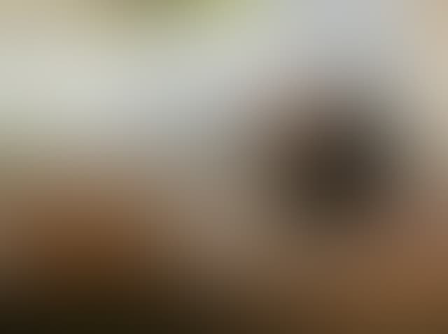 Pepsized-Blur-70.jpg