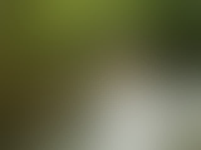 Pepsized-Blur-73.jpg