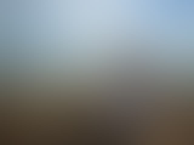 Pepsized-Blur-74.jpg