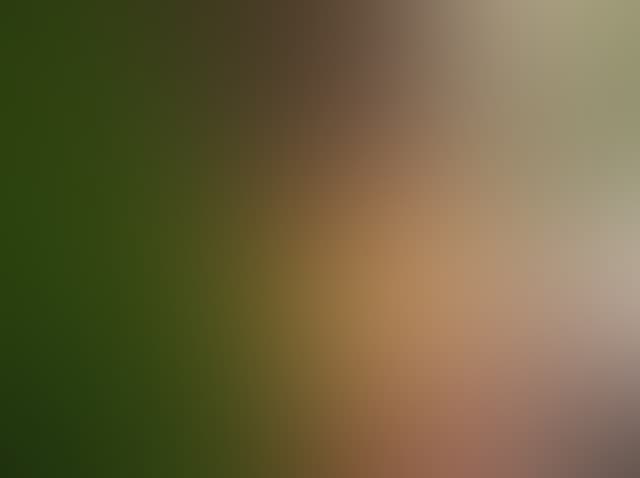 Pepsized-Blur-75.jpg