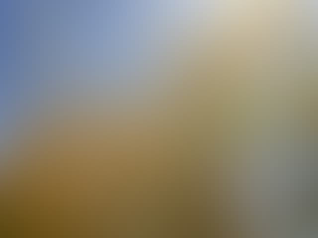 Pepsized-Blur-83.jpg