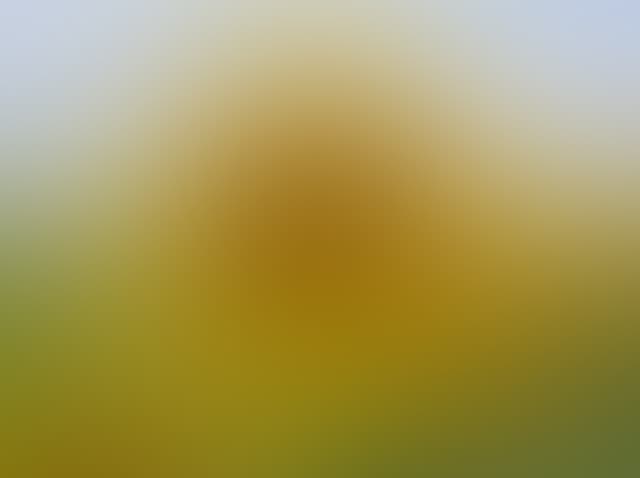 Pepsized-Blur-86.jpg