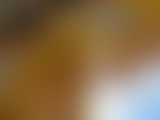 Pepsized-Blur-93.jpg