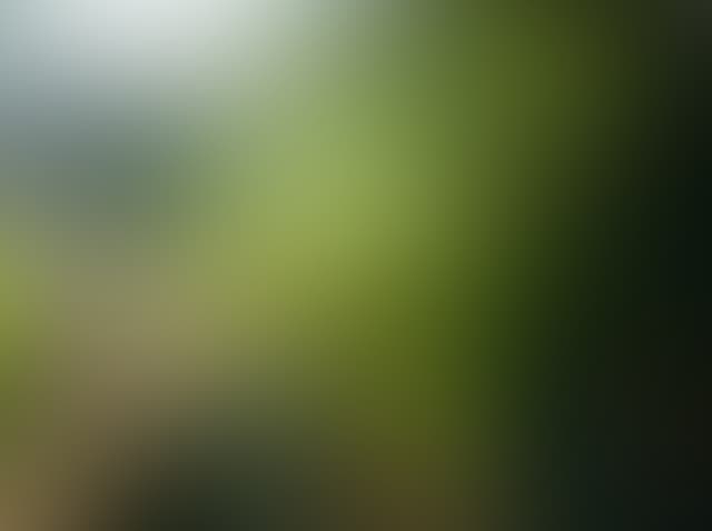 Pepsized-Blur-94.jpg
