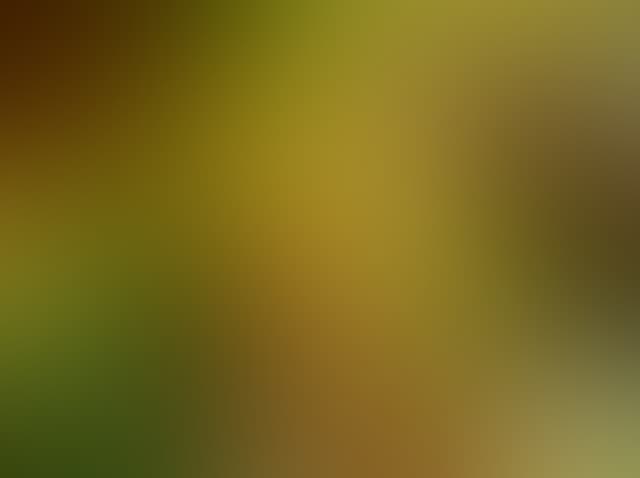 Pepsized-Blur-96.jpg