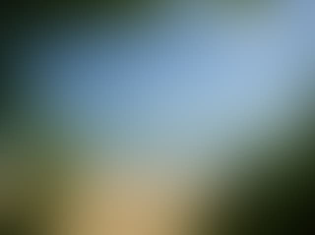 Pepsized-Blur-97.jpg