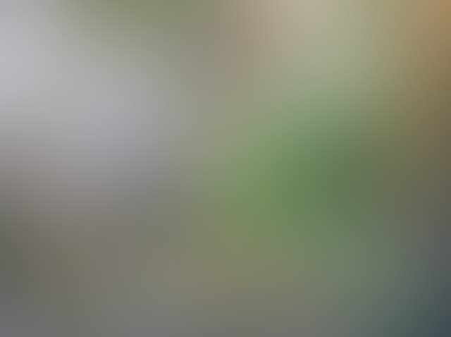 Pepsized-Blur-98.jpg