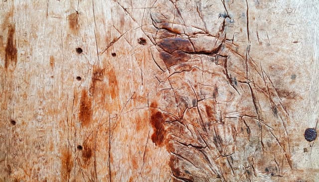 Wood-Texture10.jpg