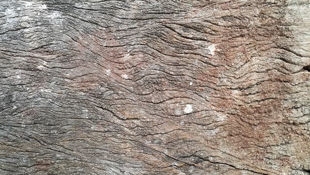 Wood-Texture2.jpg
