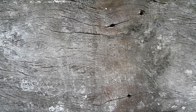 Wood-Texture8.jpg