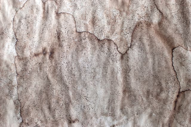aged-paper-6.jpg