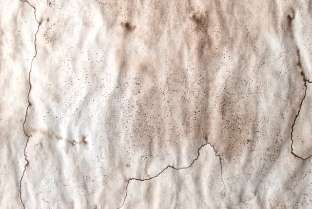 aged-paper-7.jpg