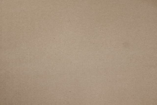 cardboard-11.jpg