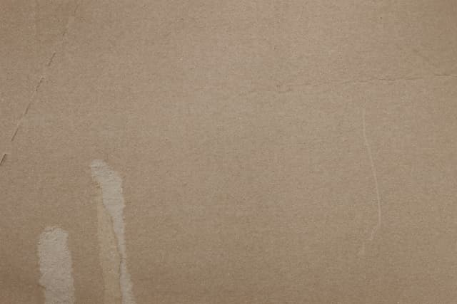 cardboard-12.jpg