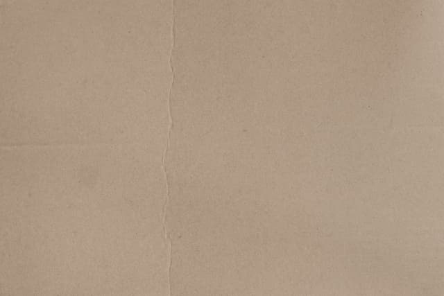 cardboard-4.jpg