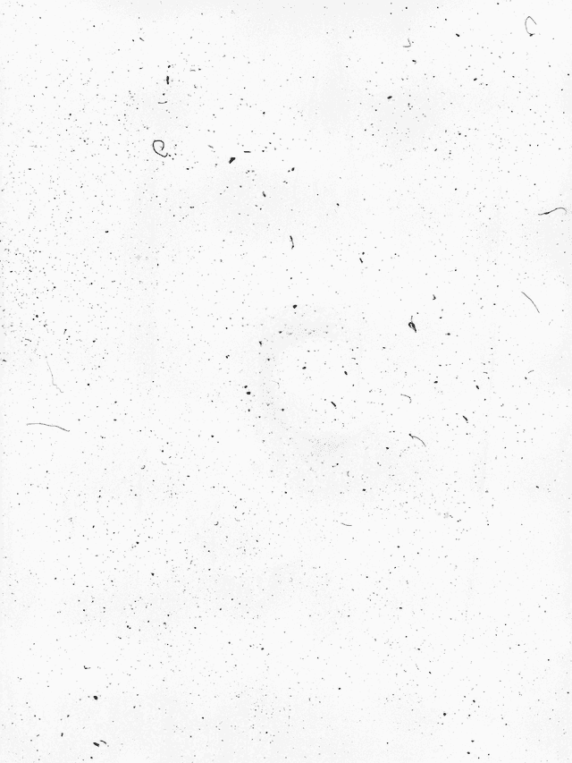 dust-dirt-overlay-4.png