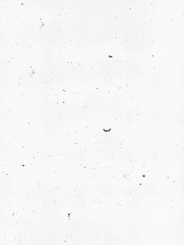 dust-dirt-overlay-7.png