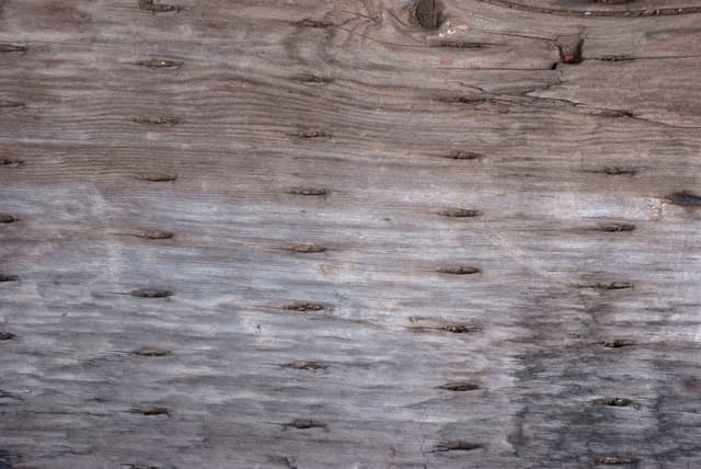 old-weathered-wood-15.jpg
