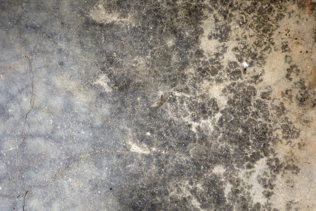 stained-floor-1.jpg