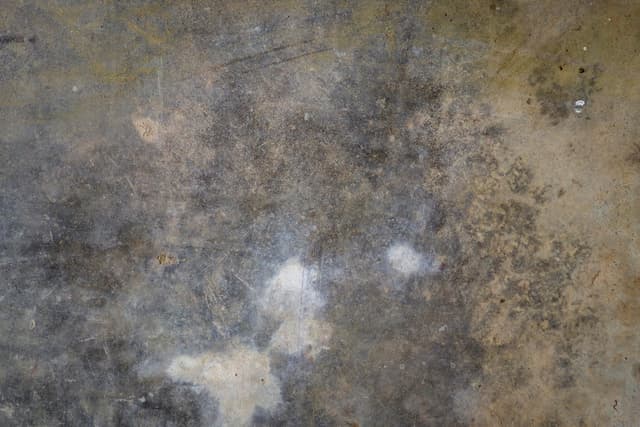 stained-floor-10.jpg