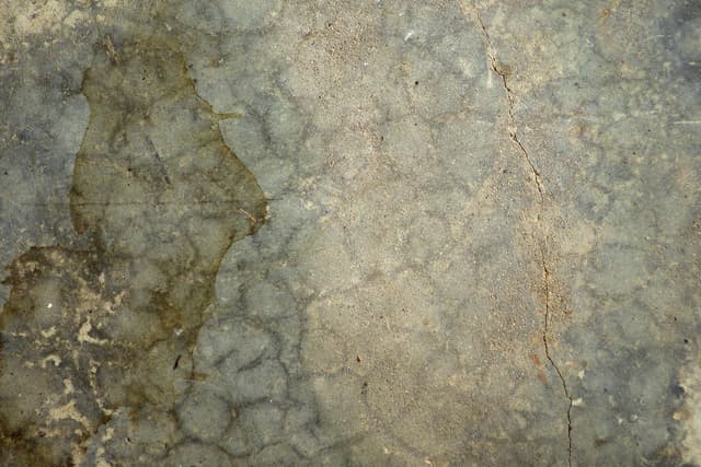 stained-floor-2.jpg