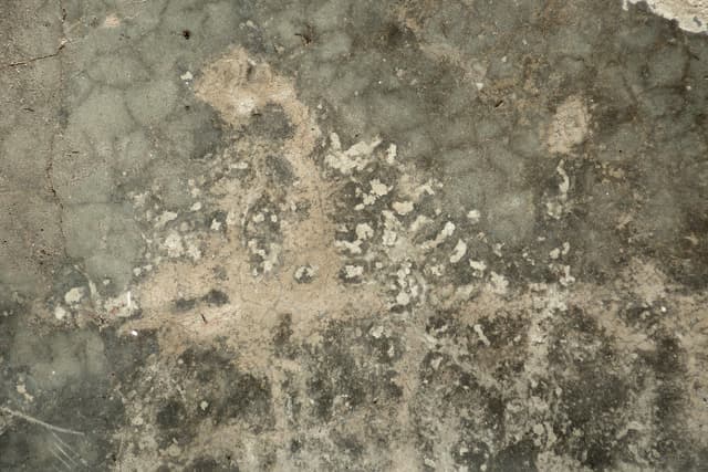 stained-floor-3.jpg