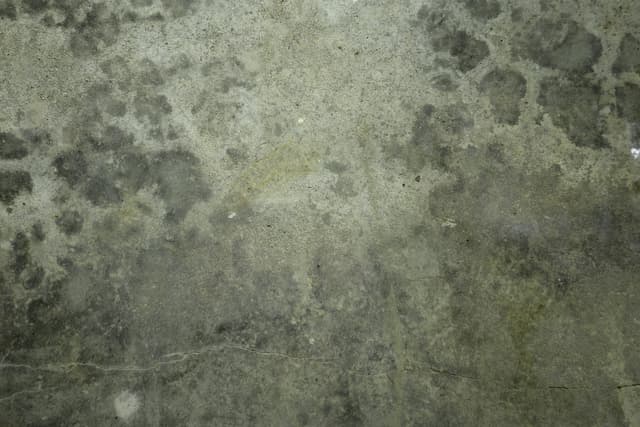 stained-floor-4.jpg