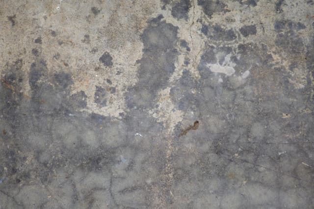 stained-floor-5.jpg