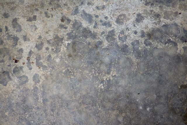 stained-floor-7.jpg