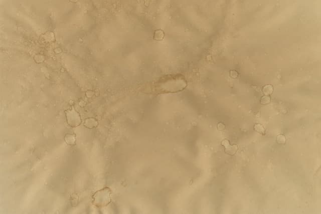 vintage-paper-12.jpg